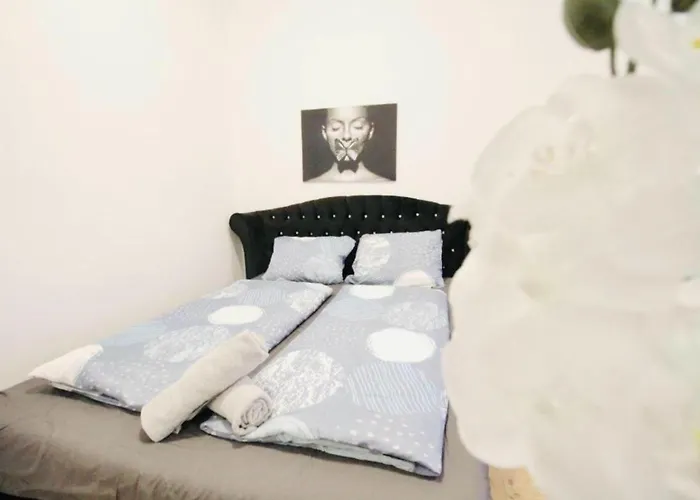Spacious Cozy 1Br Apt Near To Danube River